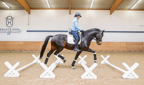 Building Better Riders: How Cavaletti Training Transforms Horse and Rider Performance